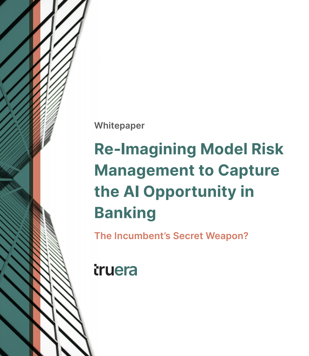 Model Risk Management Whitepaper